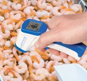 eti mini raytemp đo nhiệt độ thực phẩm
