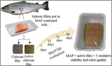 phương pháp map trong bảo quản cá tươi