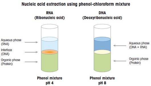 Kỹ thuật chiết dựa trên pH để tách axit nucleic khỏi protein