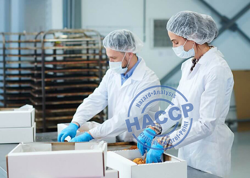 HACCP Là Gì? Nguyên Tắc, Yêu Cầu Nhiệt Độ Chuẩn HACCP