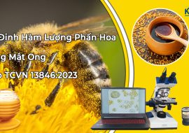 Xác Định Hàm Lượng Phấn Hoa Tương Đối Trong Mật Ong Theo TCVN 13846:2023