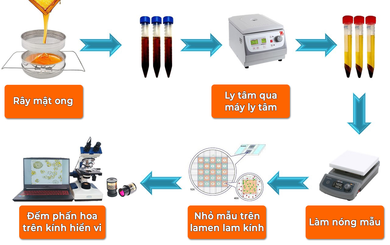 Quy trình Xác Định Hàm Lượng Phấn Hoa Tương Đối Trong Mật Ong Theo TCVN 13846:2023