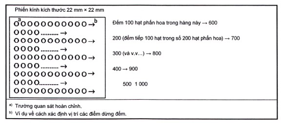 Xác Định Hàm Lượng Phấn Hoa Tương Đối Trong Mật Ong Theo TCVN 13846:2023