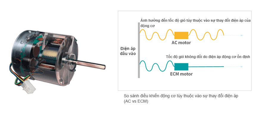 Giới Thiệu Tủ An Toàn Sinh Học Cấp 2 Jeiotech JB Series Cho Cấp Sạch 1-3