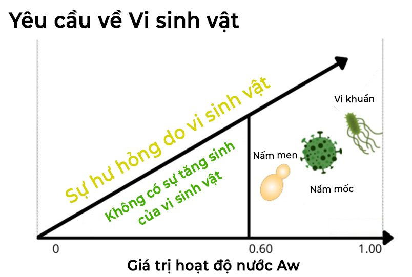 Kiểm Soát Chất Lượng - Kéo Dài Hạn Sử Dụng Bánh Trung Thu Bằng Cách Đo Hoạt Độ Nước