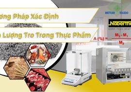 Phương Pháp Xác Định Hàm Lượng Tro Trong Thực Phẩm Đạt Chuẩn