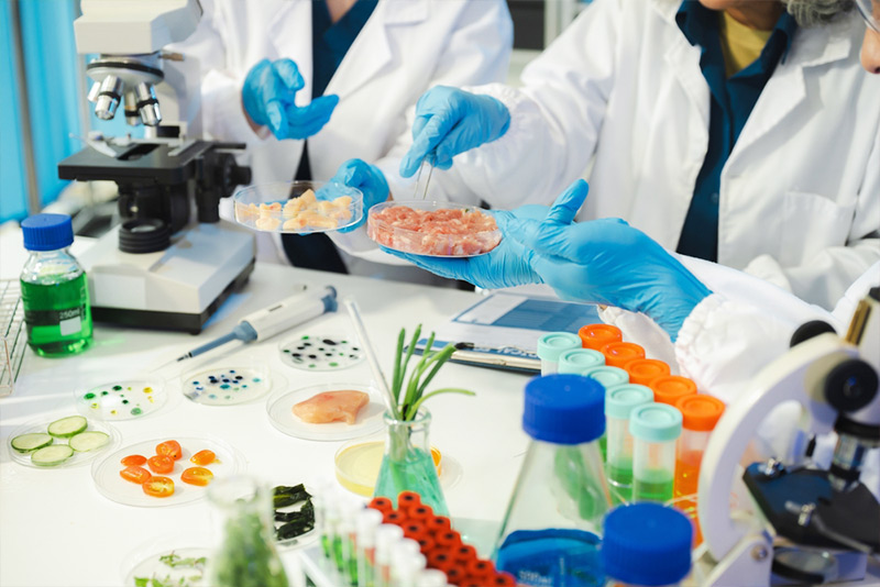 Các Chỉ Tiêu Hóa Lý Trong Thực Phẩm – Yếu Tố Cốt Lõi Đảm Bảo An Toàn Và Chất Lượng