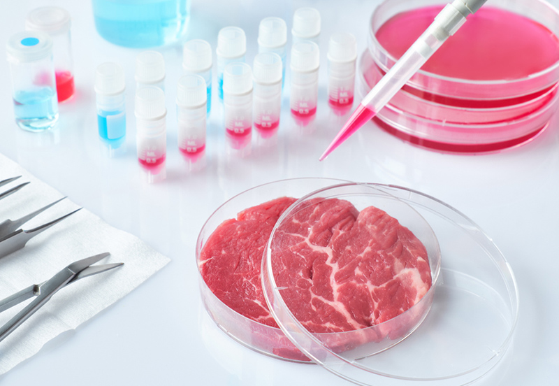 Môi Trường Nuôi Cấy Vi Sinh Là Gì? Định Nghĩa, Phân Loại Môi Trường Nuôi Cấy Vi Sinh