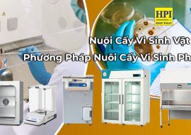 Nuôi Cấy Vi Sinh Vật Là Gì? Ý Nghĩa, Quy Trình, Phân Loại Phương Pháp Nuôi Cấy Vi Sinh Phổ Biến