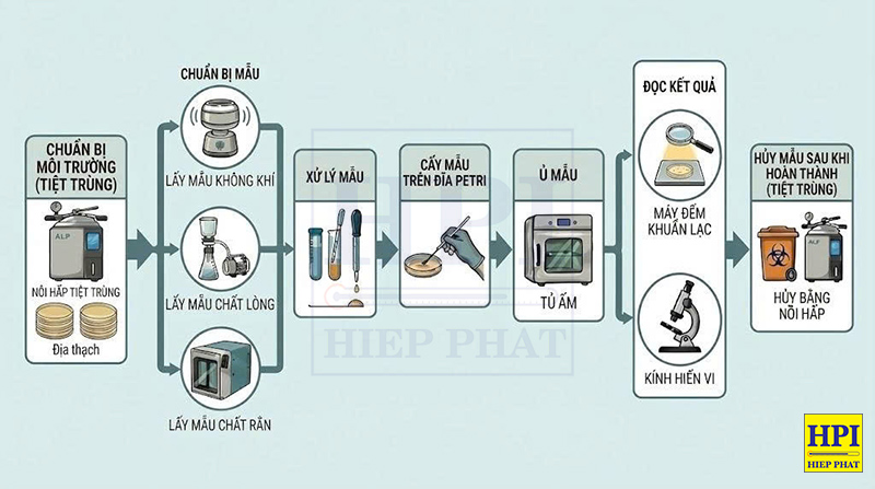 Nuôi Cấy Vi Sinh Vật Là Gì? Ý Nghĩa, Quy Trình, Phân Loại Phương Pháp Nuôi Cấy Vi Sinh Phổ Biến