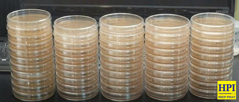 Cách Tiệt Trùng Đĩa Petri Nuôi Cấy Agar Đã Qua Sử Dụng Bằng Nồi Hấp Tiệt Trùng