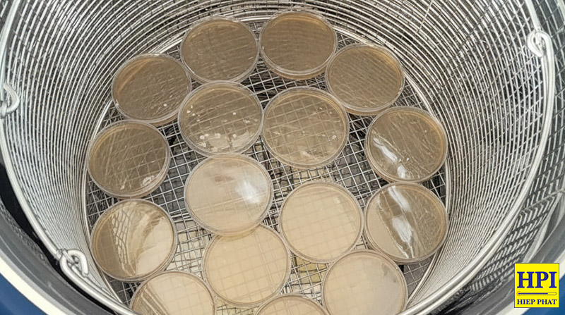 Cách Tiệt Trùng Đĩa Petri Nuôi Cấy Agar Đã Qua Sử Dụng Bằng Nồi Hấp Tiệt Trùng