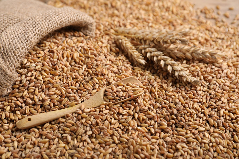 Phương Pháp Định Lượng Chất Xơ Trong Thực Phẩm Theo Tiêu Chuẩn AOAC 991.43