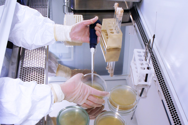 An Toàn Sinh Học Là Gì? Vai Trò, Các Cấp Độ, Quy Định Cần Nắm Về An Toàn Sinh Học