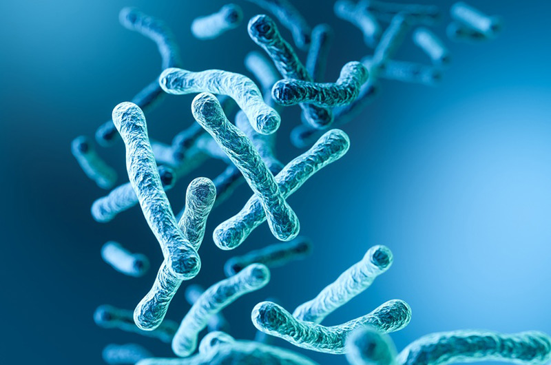 Phương Pháp Ball Trong Tính Toán Quá Trình Tiệt Trùng Thực Phẩm